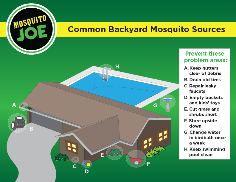 Common backyard mosquito problem sources.