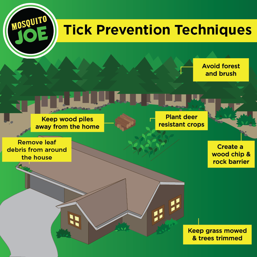 Tick prevention techniques.